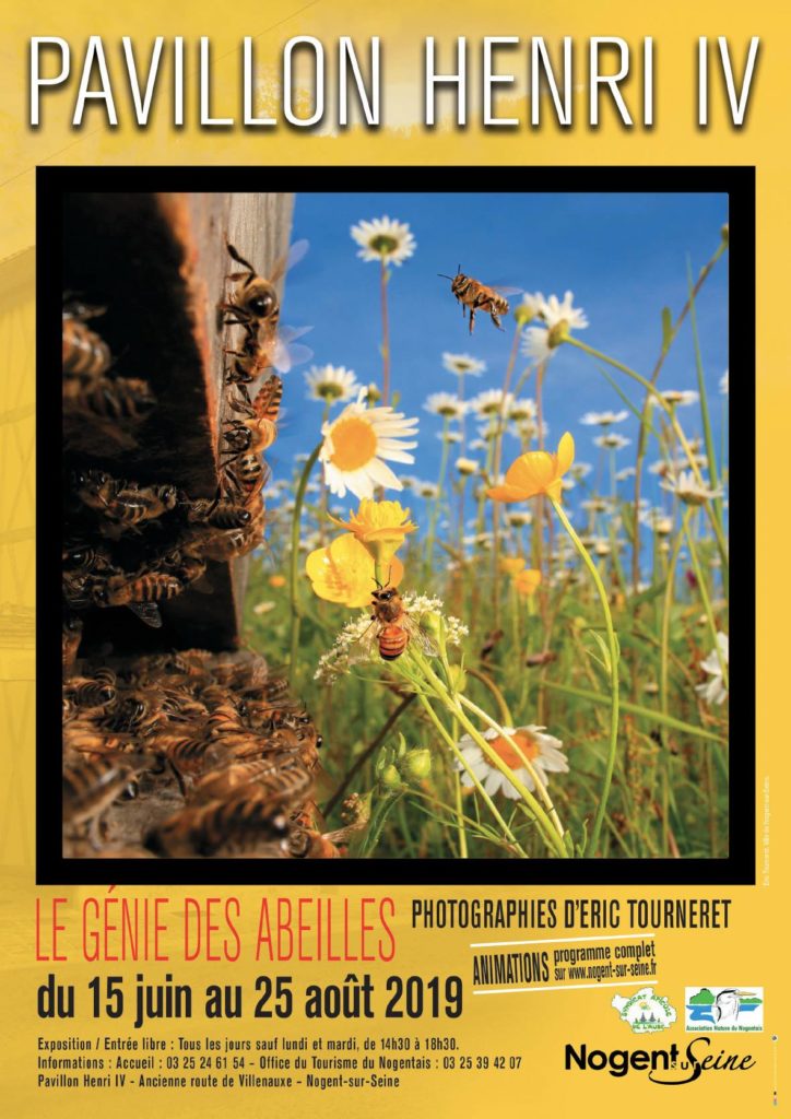 Affiche de l'exposition abeille Nogent sur Seine